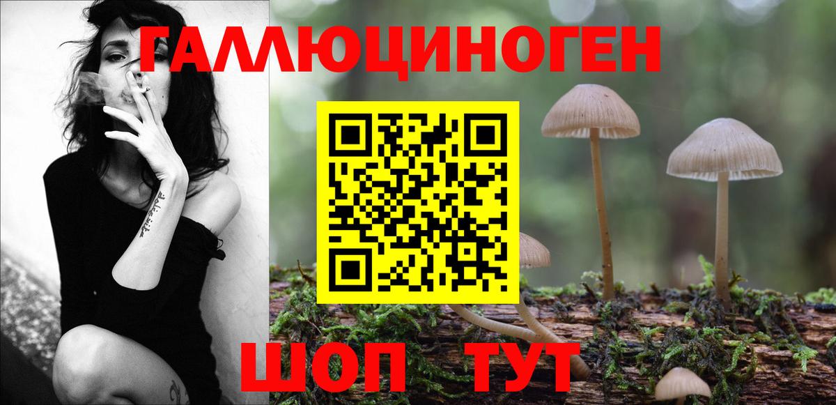Галлюциногенные грибы прущие грибы Мелеуз