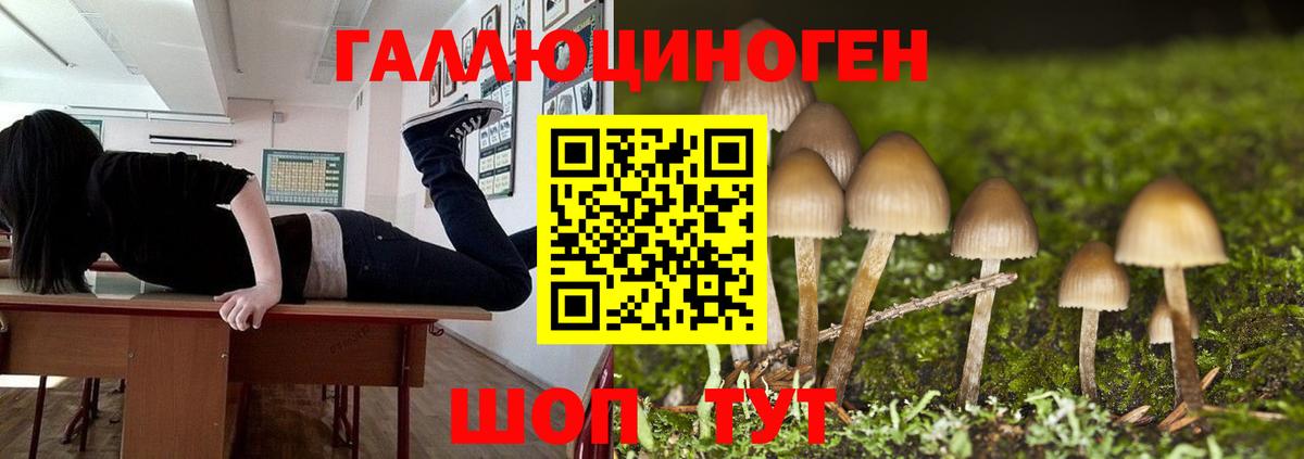 где купить   Галлюциногенные грибы Psilocybine cubensis  Вход с VPN  Мелеуз 